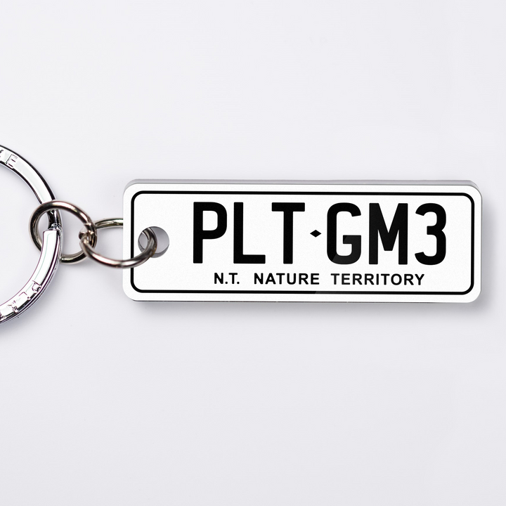 NT General Issue Licence Plate Custom Keychain