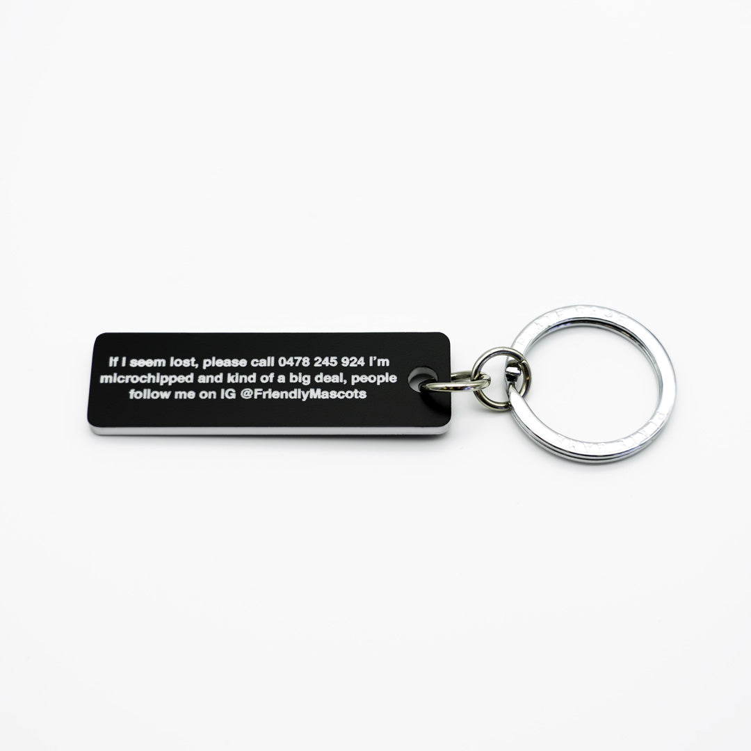 Licence Plate Custom Pet ID Tag